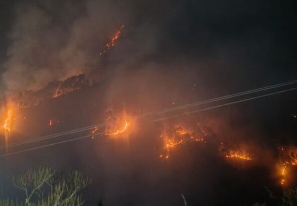 राम पर्वत जंगल आग से हड़कंप, CISF कार्यालय के पास तक पहुंची लपटें