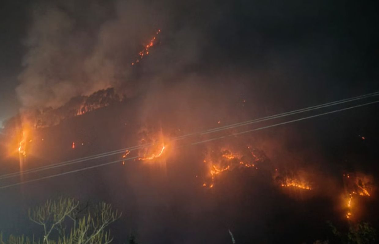 राम पर्वत जंगल आग से हड़कंप, CISF कार्यालय के पास तक पहुंची लपटें