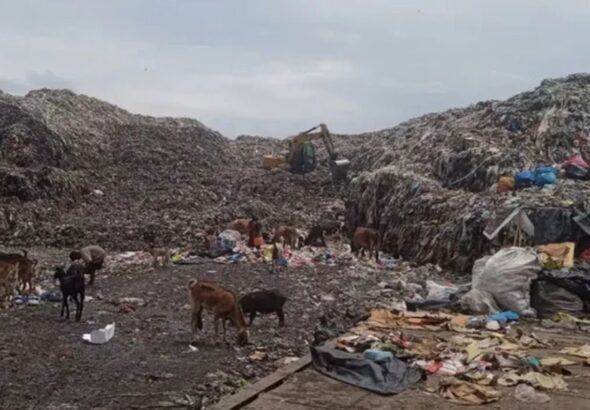 आस्था पथ पर होगा ग्रीनरी डेवलपमेंट, नगर निगम की समीक्षा बैठक