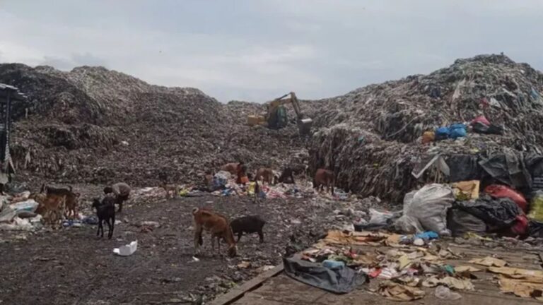 आस्था पथ पर होगा ग्रीनरी डेवलपमेंट, नगर निगम की समीक्षा बैठक