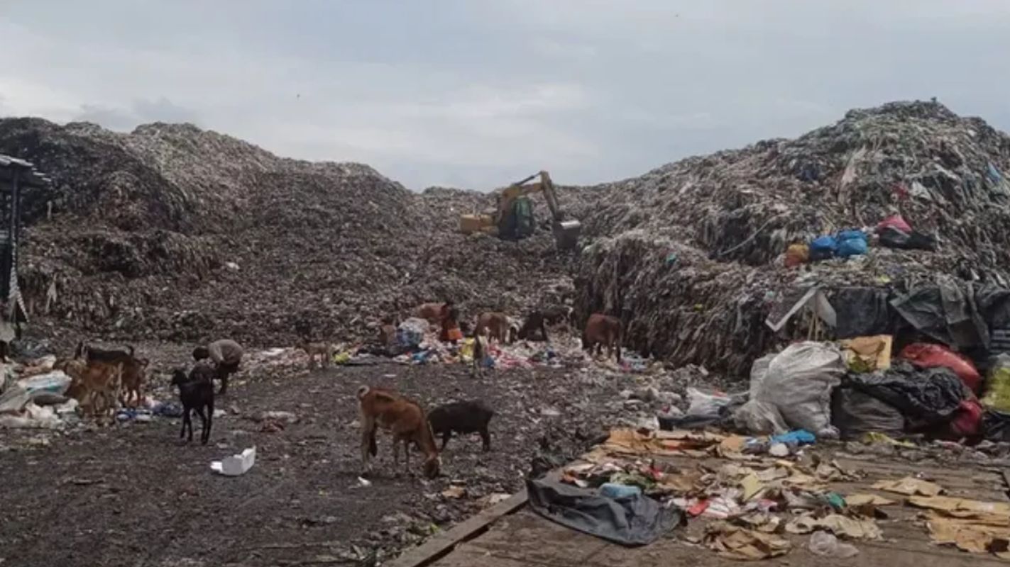 गोविंद नगर के कूड़े के पहाड़ को हटाने की तैयारी, लीगेसी वेस्ट निस्तारण की डीपीआर मंजूर 1 आस्था पथ पर होगा ग्रीनरी डेवलपमेंट, नगर निगम की समीक्षा बैठक