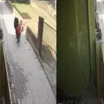 ऋषिकेश में फिर सामने आई आवारा गोवंश की समस्या, लोगों में दहशत