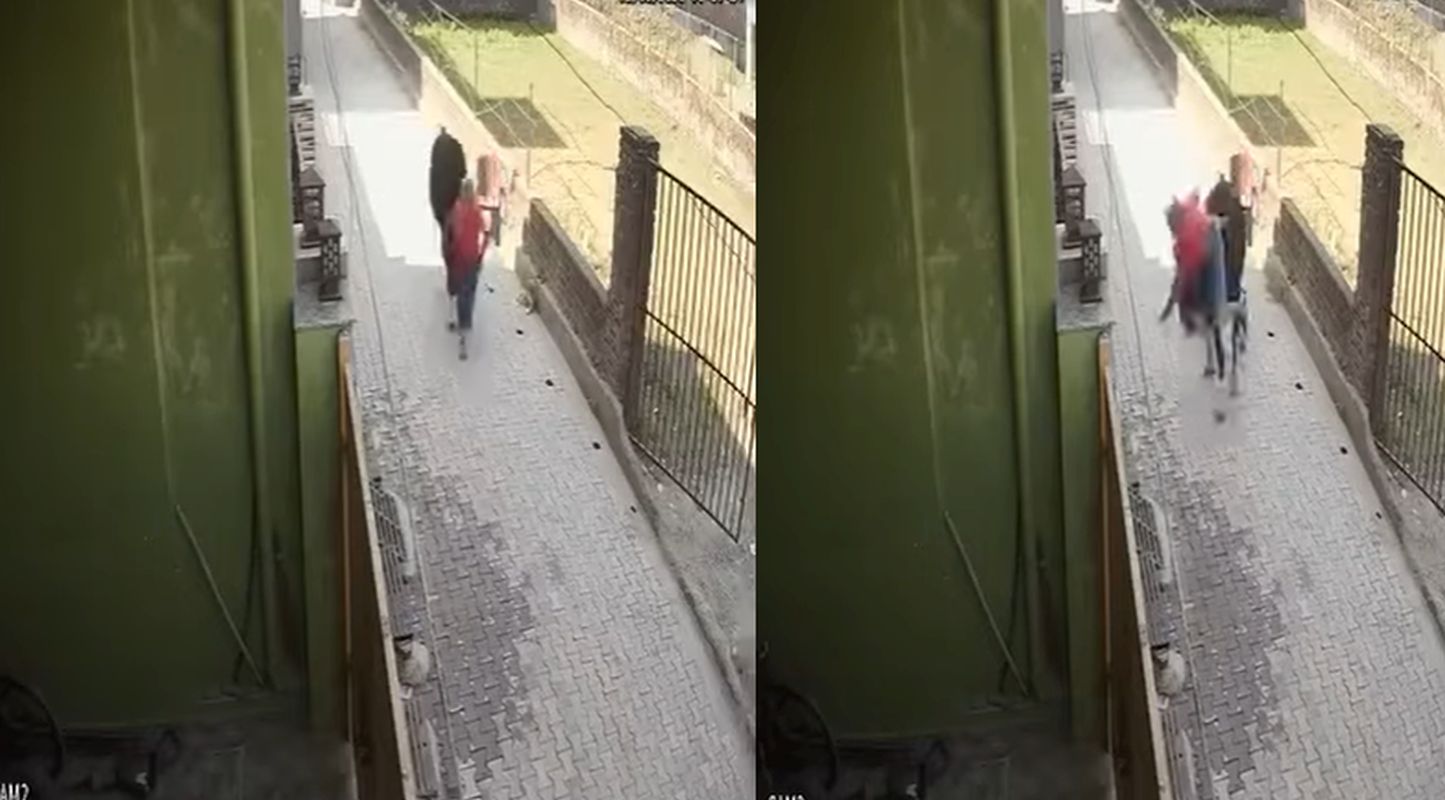 ऋषिकेश में फिर सामने आई आवारा गोवंश की समस्या, लोगों में दहशत